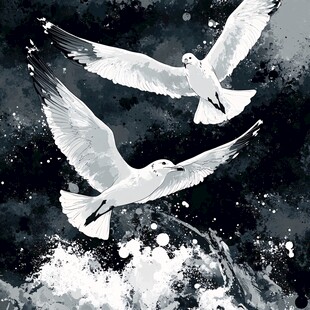 黑白海鸥在浪花上飞翔