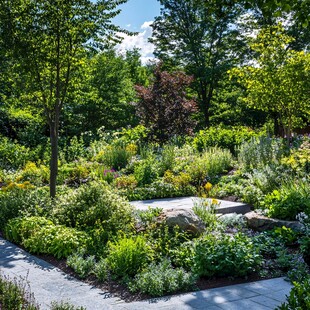 美丽的自然风花园景观