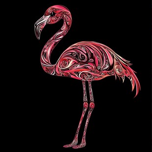 火烈鸟 绚丽花纹的艺术形象