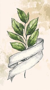 手绘绿叶丝带装饰插画