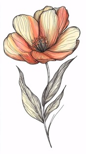 手绘橙黄花朵插画