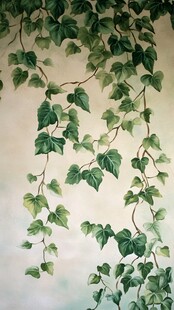 墙上翠绿常春藤蔓延