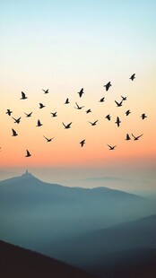 夕阳下飞鸟翱翔山间美景