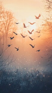 夕阳下群鸟飞翔的梦幻场景