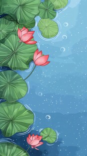 夏日荷塘荷花荷叶美景图