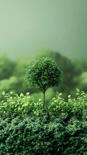 一棵独秀的翠绿小树