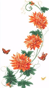 橙色菊花与蝴蝶装饰图案