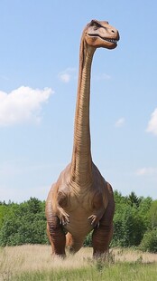 草原上的长颈恐龙模型