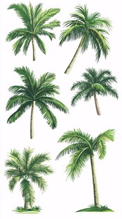 多样姿态的热带棕榈树