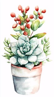 水彩风多肉盆栽插画