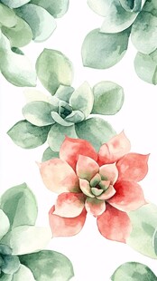 水彩多肉花卉清新图案