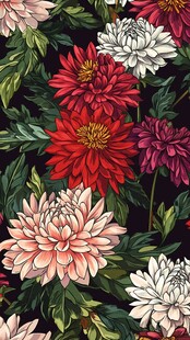 多彩大丽花花卉图案背景