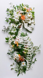 花饰骷髅 自然与死亡的交融