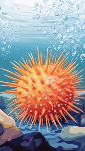 海洋中的橙色刺球海胆