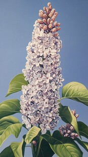 亭亭玉立的淡紫色丁香花