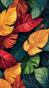 缤纷多彩的热带植物叶片