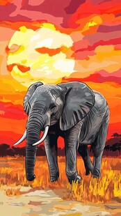 夕阳下的非洲大象