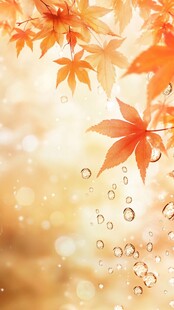 秋日枫叶与晶莹水珠