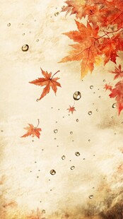 秋意枫叶雨滴唯美背景图