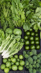 新鲜绿色蔬菜大集合