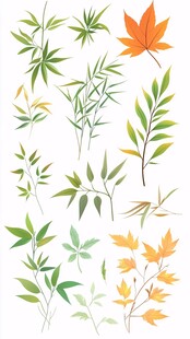 多样清新叶片插画集合