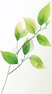 清新绿叶枝桠插画