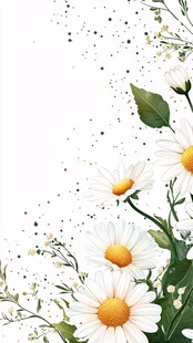 雏菊花卉边框装饰图案