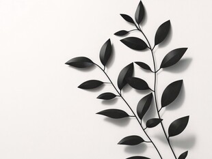 黑色枝叶简约背景图
