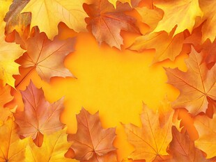秋叶环绕的温暖黄色背景