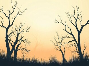 黄昏下的枯树与草地剪影