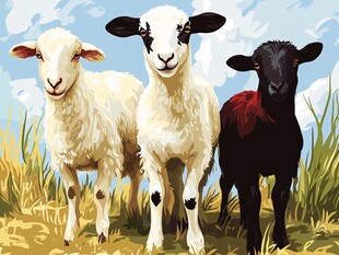 三只小羊站在草地上