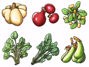 多样蔬菜插画集合