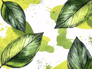 手绘绿叶水彩背景图案