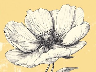 手绘花朵插画 简约风格