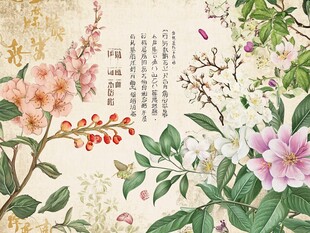 中式花卉古风插画意境美