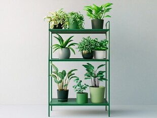 绿色花架上的多样盆栽