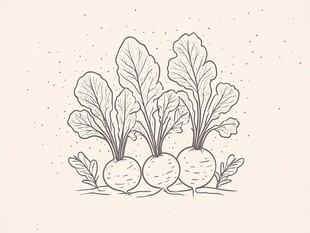 手绘萝卜插画