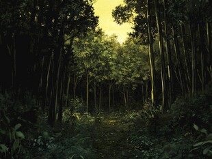 黄昏下的静谧森林小径