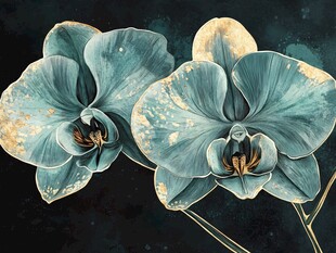 蓝金色调双朵优雅蝴蝶兰