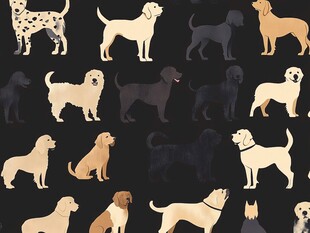 多样狗狗图案背景图