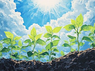 阳光照耀下的新生幼苗