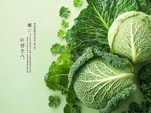 新鲜卷心菜与绿叶蔬菜