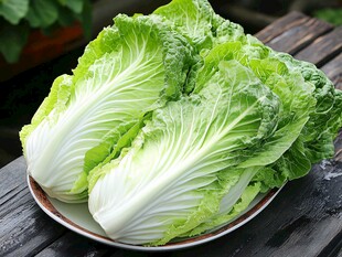 新鲜大白菜摆放在盘中
