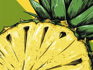 切开的菠萝插画