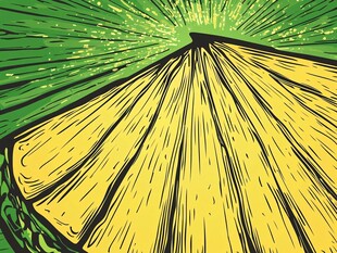 切开的柠檬插画风格图案