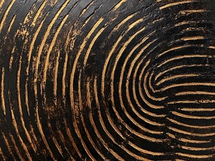 木纹年轮纹理特写