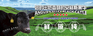 安格斯黑牛烤肉灯箱亮化海报