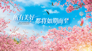 樱花海报