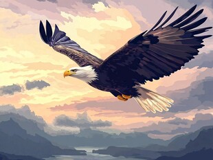 翱翔天际的雄鹰