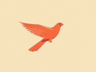 橙色飞鸟简约插画图案